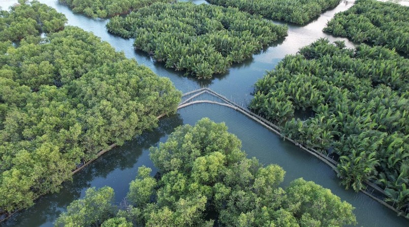 Rú Chá với ngập tràn sắc xanh của rừng nguyên sinh.