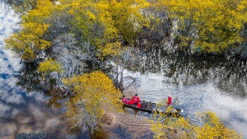 Nơi trú nắng cực chất trong rừng ngập mặn Rú Chá được ví như 