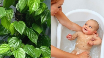 Trị rôm sảy cho bé bằng lá Trầu Không tại nhà
