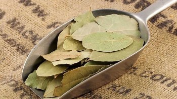 Công dụng tuyệt vời của lá nguyệt quế có thể khiến bạn bất ngờ