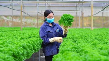 Lâm Đồng: Thêm nhiều sản phẩm được sử dụng thương hiệu “Đà Lạt - Kết tinh kỳ diệu từ đất lành”