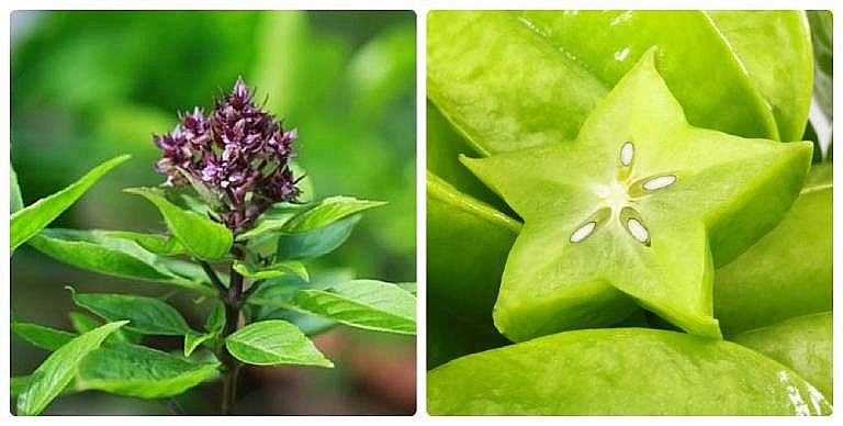 lá húng quế, khế chua và một ít đường phèn là một trong những cách chữa ho cho bé