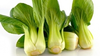 Những người tuyệt đối không nên ăn rau cải