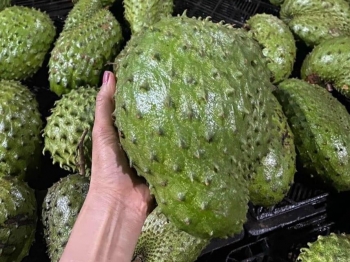 Đu “trend” mạng xã hội, loại quả vốn dành riêng cho hoàng đế được săn lùng để pha kiểu trà "hot"