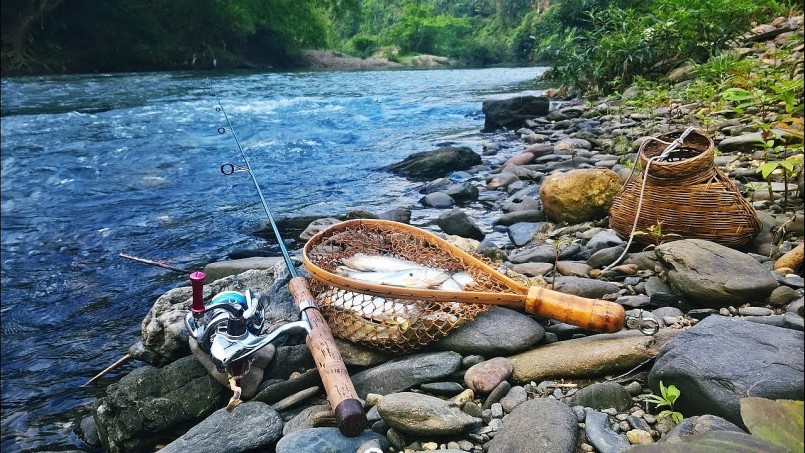 Review du lịch Suối Tranh Phú Quốc: vẻ đẹp thiên nhiên hùng vĩ Review du lịch Suối Tranh Phú Quốc: vẻ đẹp thiên nhiên hùng vĩ