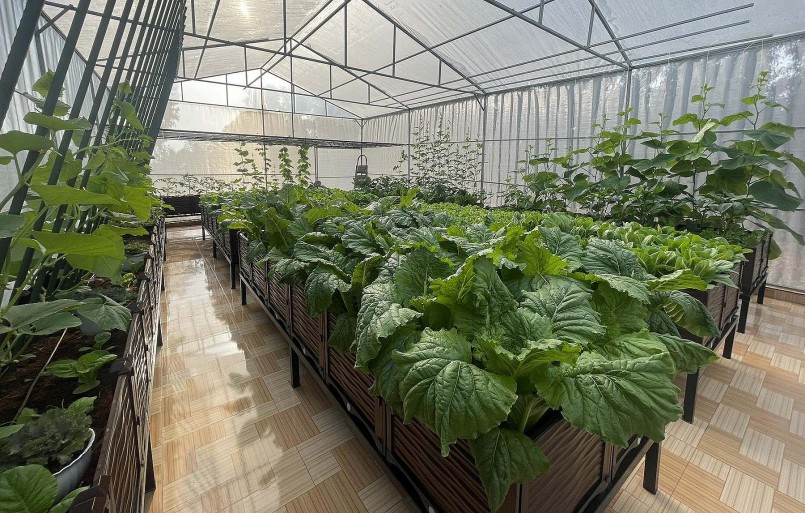 Vườn thông minh được chia thành ba khu. Chính giữa là trồng các loại rau theo mùa.