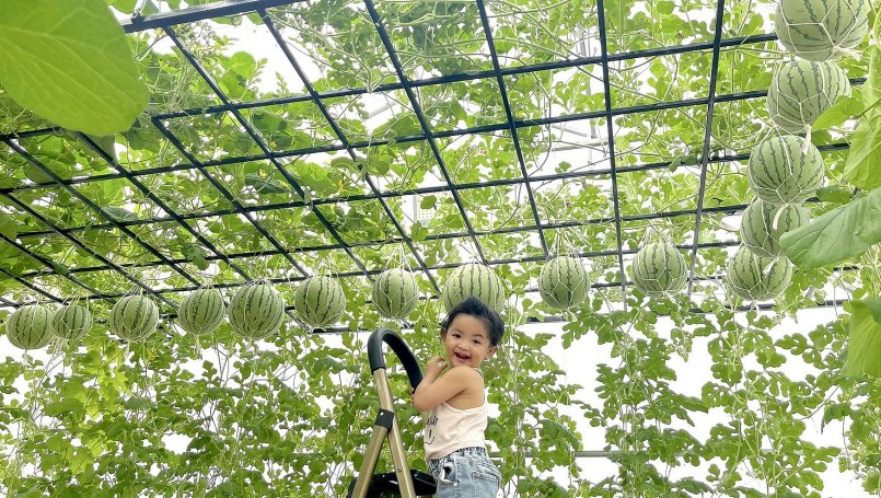 Niềm vui lớn nhất của Tú là giúp các cháu được gần gũi với thiên nhiên, trải nghiệm những điều mới mẻ.