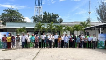 Mưa vàng “giải cứu” vùng hạn mặn miền Tây