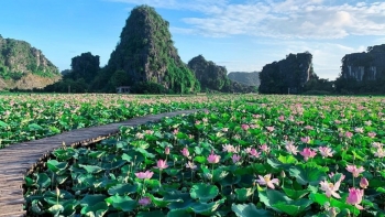 Khám phá địa điểm check-in đẹp như tiên cảnh tại Ninh Bình