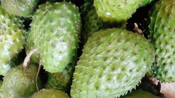 Thêm một loại trái cây gây sốt trong ngày hè, giá bán tăng vọt mở đầu cho hot trend mới