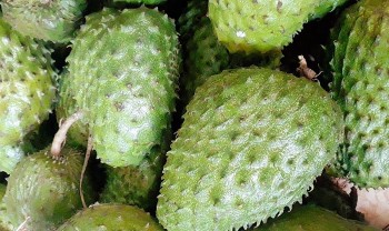 Thêm một loại trái cây gây sốt trong ngày hè, giá bán tăng vọt mở đầu cho hot trend mới