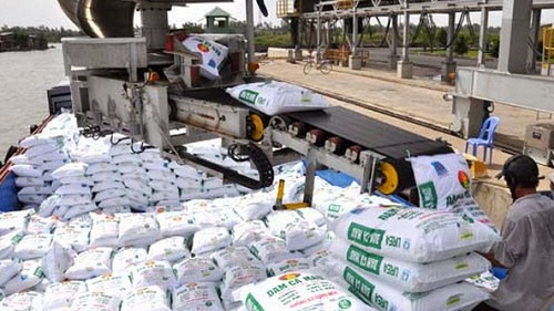 Xuất khẩu phân bón giảm mạnh về kim ngạch