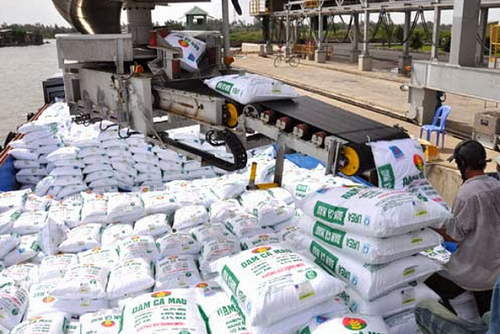 Xuất khẩu phân bón giảm mạnh về kim ngạch