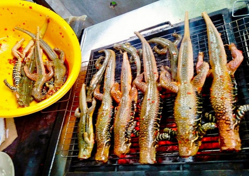 Đặc sản trứ danh của Bình Thuận được mệnh danh là “vua sa mạc”, giá 500.000 đồng/kg còn không có hàng để bán Đặc sản trứ danh của Bình Thuận được mệnh danh là “vua sa mạc”, giá 500.000 đồng/kg còn không có hàng để bán