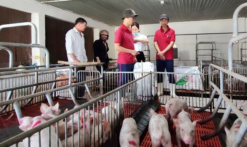 Giá heo hơi hôm nay (22/5) lặng sóng trong phiên đầu tuần, giá heo chưa thể vượt mốc 59.000 đồng/kg. 