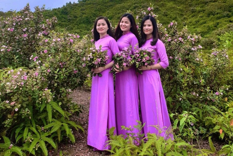 Vào mùa hoa sim nở rộ, vùng biên cương Đông Bắc như được khoác lên tấm áo mới. Vào mùa hoa sim nở rộ, vùng biên cương Đông Bắc như được khoác lên tấm áo mới.