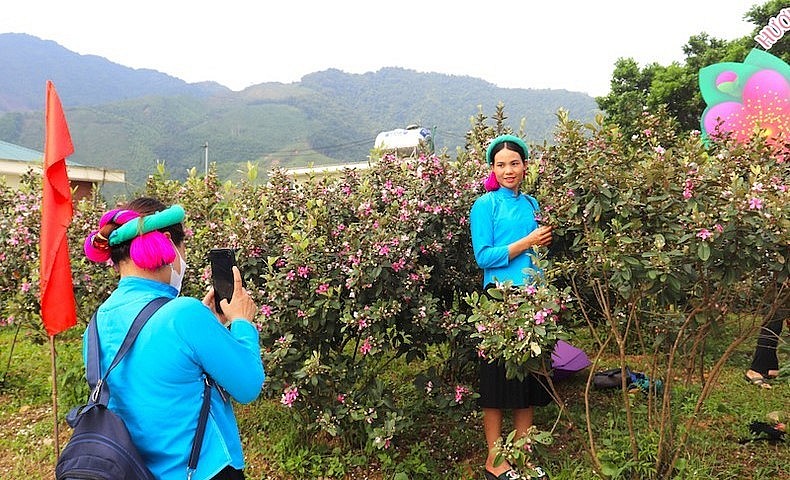 Các cô gái tranh thủ chụp hình bên những cây sim tím đang rực rỡ sắc màu. Các cô gái tranh thủ chụp hình bên những cây sim tím đang rực rỡ sắc màu.