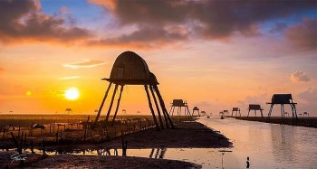 Review du lịch bãi biển Cồn Vành