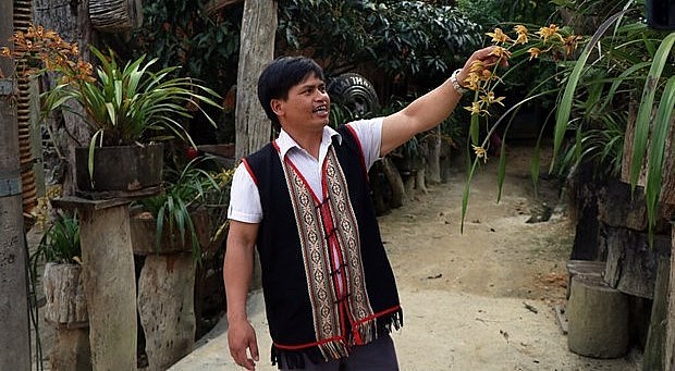 Anh A Hiên đang giới thiệu hoa địa lan của gia đình tại làng Vi Rơ Ngheo. Anh A Hiên đang giới thiệu hoa địa lan của gia đình tại làng Vi Rơ Ngheo.