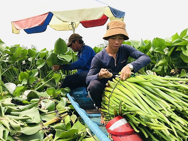 Anh Thuận tâm huyết với mô hình cùng người dân làm giàu dựa trên tài nguyên bản địa Anh Thuận tâm huyết với mô hình cùng người dân làm giàu dựa trên tài nguyên bản địa