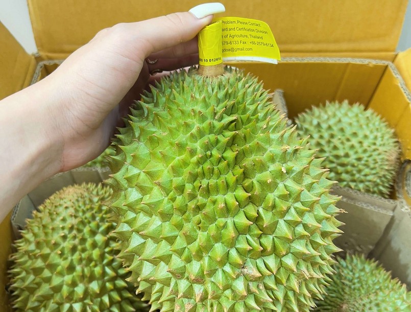 Sầu riêng Thái Lan tạo áp lực cạnh tranh với sầu riêng Việt Nam ngay tại sân nhà. Sầu riêng Thái Lan tạo áp lực cạnh tranh với sầu riêng Việt Nam ngay tại sân nhà.