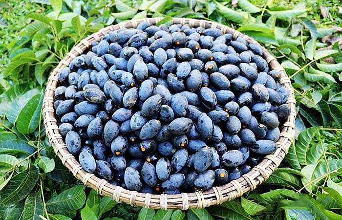 Trám đen xứ Lạng