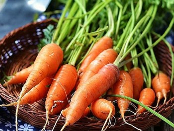 Những lợi ích của cà rốt với sức khỏe có thể bạn chưa biết