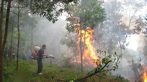 Thủ tướng chỉ đạo tăng cường các biện pháp cấp bách phòng cháy, chữa cháy rừng