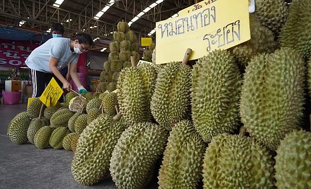 Thái Lan đã bán sầu riêng trị giá 3,1 tỷ USD cho Trung Quốc vào năm 2022, chiếm 96,2% kim ngạch xuất khẩu.
