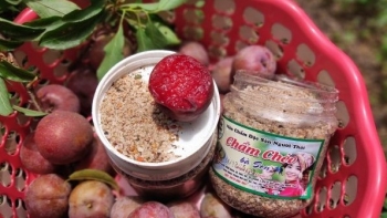 Mận đang vào mùa, ăn mận hàng ngày có tốt không?