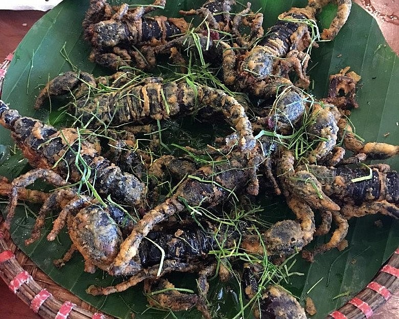 Bò cạp Bảy Núi An Giang được chiên giòn và rải chút lá chanh để món ngon đúng điệu