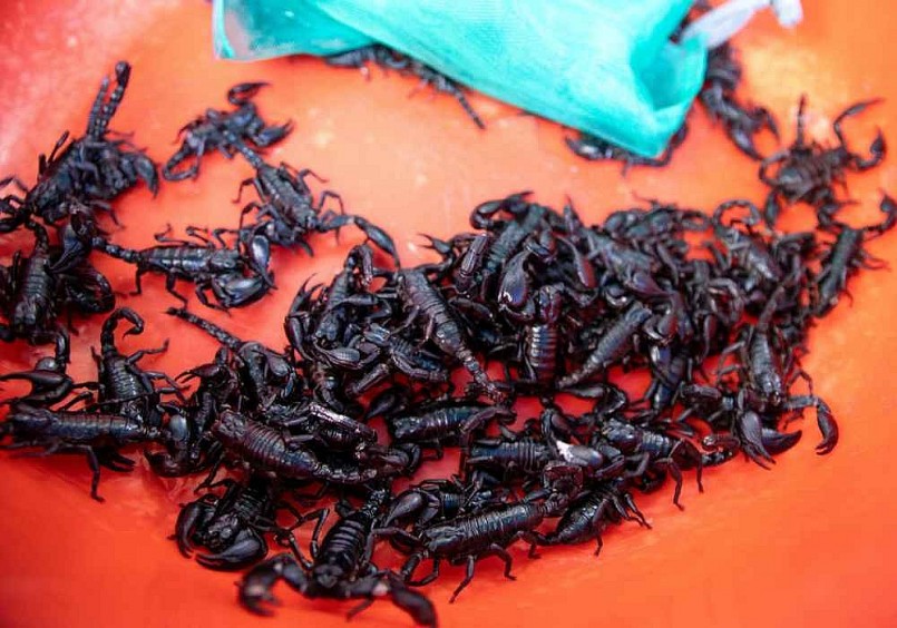 bò cạp Bảy Núi An Giang lại là loại thực phẩm mang giá trị dinh dưỡng cao