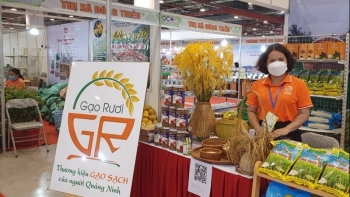 Truy xuất nguồn gốc các sản phẩm OCOP để tăng tính cạnh tranh