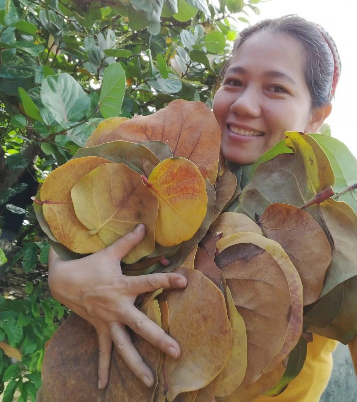Những lá cây tưởng bỏ đi bất ngờ biến thành đĩa lá ép rất tiện dụng và thân thiện môi trường.