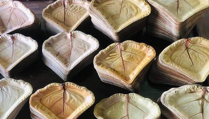 Những chiếc đĩa lá ép được tạo hình hấp dẫn.