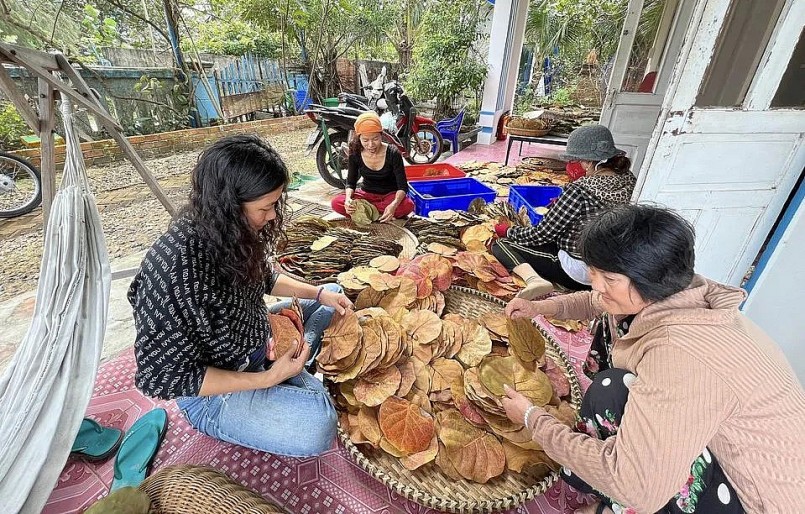 Việc chọn lá để ép thành đĩa cũng khá cầu kỳ.