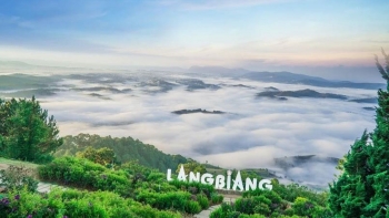 Review Đà Lạt: Thiên đường giành cho các cặp đôi