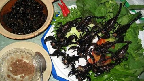 Loài cực độc xứ Bảy Núi không phải ai cũng dám thử, thành đặc sản nổi tiếng khiến bao người sửng sốt