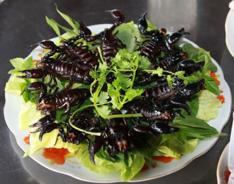 Đặc sản cực độc xứ Bảy Núi không phải ai cũng dám thử,