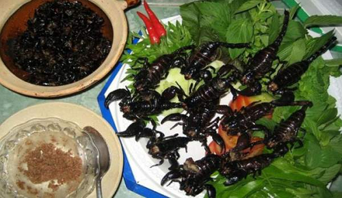 Loại cực độc xứ Bảy Núi không phải ai cũng dám thử, nay thành đặc sản ngon trứ danh ở An Giang