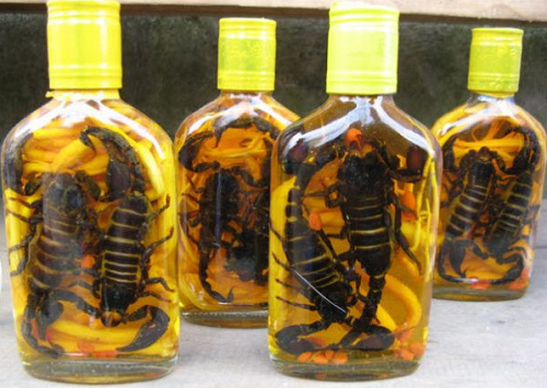 Đặc sản cực độc xứ Bảy Núi không phải ai cũng dám thử,