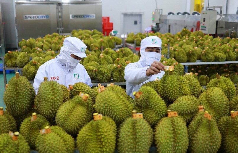 Với sầu riêng, khi Trung Quốc phê duyệt thêm mã số vùng trồng, cơ sở đóng gói thì tăng trưởng sẽ cao hơn nữa. 