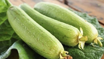 Loại quả giải nhiệt ngày hè, ở Việt Nam giá rẻ bèo, sang xứ tỉ dân lên đời thành đặc sản