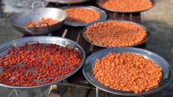 Loại quả xưa rụng đầy vườn không ai nhặt, nay làm thành món mứt vừa dẻo vừa thơm, phải đặt trước mới có