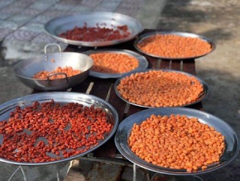 Loại quả xưa rụng đầy vườn không ai nhặt, nay làm thành món mứt vừa dẻo vừa thơm, phải đặt trước mới có