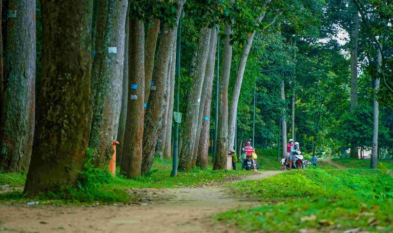 Ao Bà Om là thắng cảnh thu hút khách đến hòa mình cùng thiên nhiên.