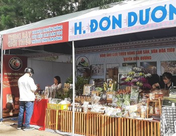 Lâm Đồng: Xây dựng chuỗi liên kết sản xuất, chế biến sâu và tiêu thụ dược liệu