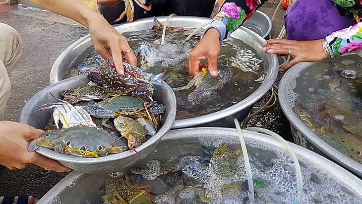 Lợi ích tuyệt vời của đậu que đối với sức khỏe ít người biết