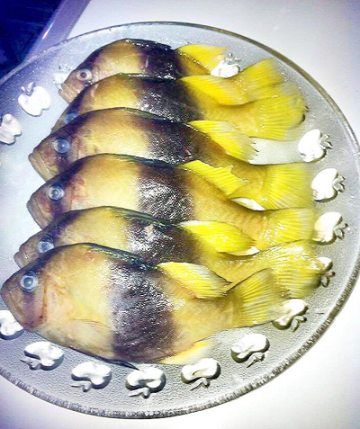 Loại cá chỉ có ở Nha Trang, tên vô cùng lạ, xưa không ai ăn nay thành đặc sản thơm ngon hảo hạng Loại cá chỉ có ở Nha Trang, tên vô cùng lạ, xưa không ai ăn nay thành đặc sản thơm ngon hảo hạng