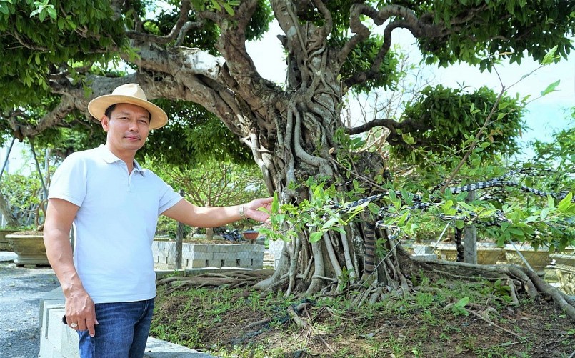 Ông Vũ Đức Đông chia sẻ về quá trình tạo tác cây sộp cổ thụ.
